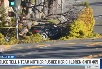 洛杉矶高速公路婴儿：被母亲从行驶汽车扔出车外