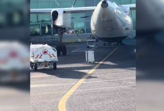 【视频】女子乘加航出行：起飞时发现行李箱被丢在地面！