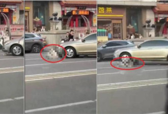 中国女司机撞倒51岁女子 倒车反复辗压致死