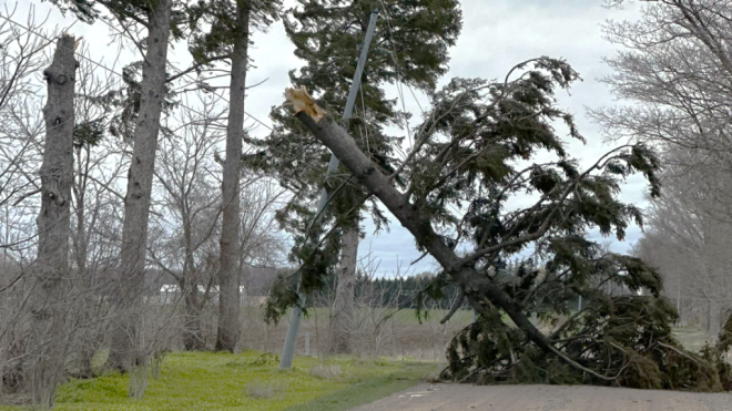 A tree toppled by high winds on Saturday can be seen above. Hydro One says it's still working to return power to the thousands of customers experiencing outages in Ontario as a result of high winds. (Hydro One)