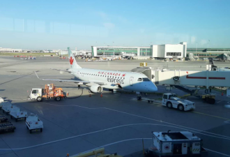加拿大回国"增飞"一趟航班！每周11班！4月国际航班计划公开！