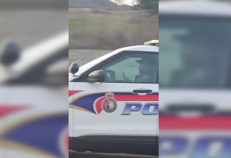 引起民愤！约克区警察“被抓”：高速开车用手机，完全不看路！