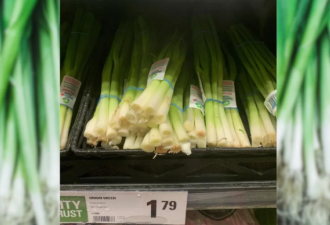 傻眼！多伦多超市卖的葱被切掉一截！网友怒了：耽误我自己种葱！