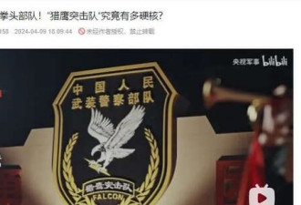 “猎鹰突击队”为什么是中国最顶尖的反恐部队?