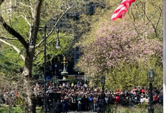 听闻“露面就发绿卡”，上千黑人“包围”纽约市议会厅