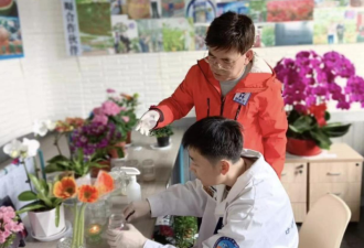 中国首批“来自太空”的鲜花大规模上市