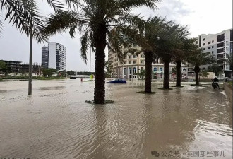 迪拜一天下了一年半的雨！沙漠人民开始努力抗洪... 这？？