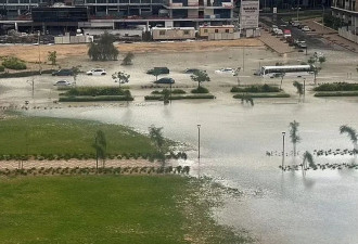 迪拜一天下了一年半的雨！沙漠人民开始努力抗洪... 这？？