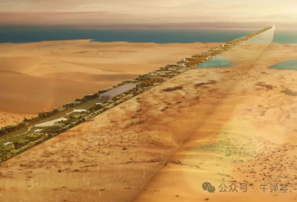 大陆热帖：沙特超级大项目，找到了中国