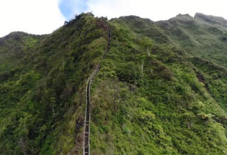 夏威夷知名步道“通往天堂阶梯” 要被拆除
