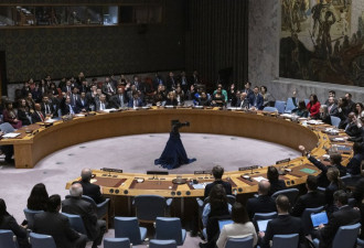 巴勒斯坦申请入联合国 遭美国1票否决