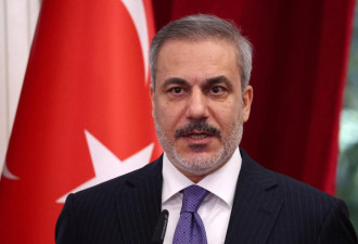 土耳其外长：哈玛斯欲解散武装组织转为政党