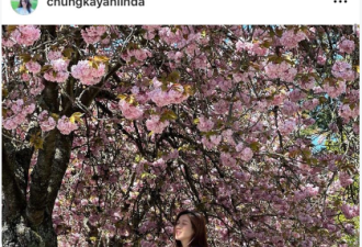惊艳！加拿大40岁华裔女星晒赏樱美照: 陶醉微笑少女感爆棚！