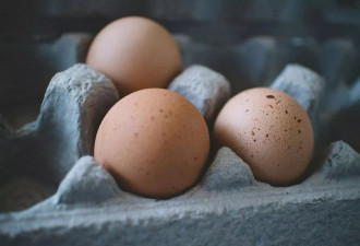 又要囤蛋了？美日禽流感疫情再起 国际蛋价再飙涨