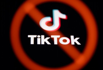 德语媒体：美国禁用TikTok 谁能受益？