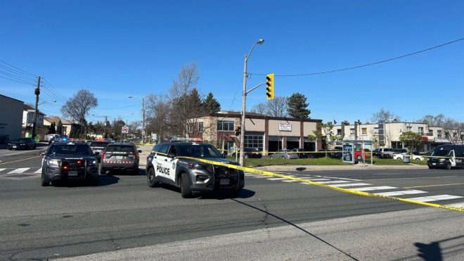 Rexdale ped struck