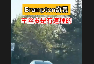 【视频】Brampton奇景再现！一个大多伦多创意无限的地方