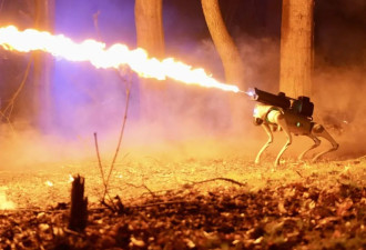 美国公司开售火焰喷射机器狗，售价还不算高