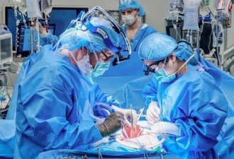全球首例！54岁女病人同时移植人工心脏和猪肾