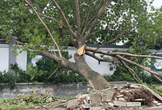 探访广州龙卷风受灾地:4分钟遭袭受损重