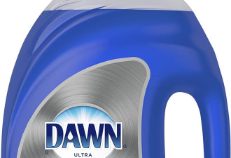 Dawn Platinum 4倍强清洁系列洗碗液2.21L