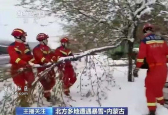 中国多地下暴雪!雪深超30厘米 一夜返冬 专家解读