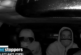 两周抢劫至少7人 纽约双人团伙盯上网约车司机