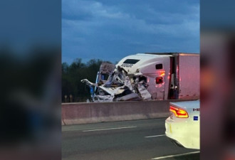 401高速发生逆行交通事故道路关闭四人死亡包括婴儿