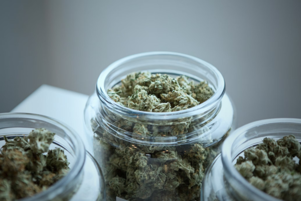 拜登政府采取步骤,将减轻使用大麻的犯罪程度| 加西网(温哥华门户网)