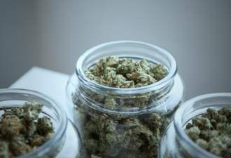 拜登政府采取步骤，将减轻使用大麻的犯罪程度