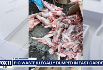 持续清理也无用!450磅猪肉被非法倾倒在洛县街头