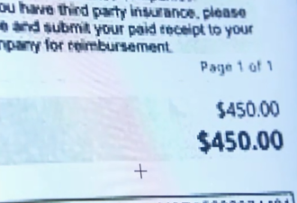 加拿大女子向加航提了一个请求，竟收到$450刀的账单