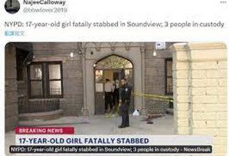 恐怖！纽约17岁少女公寓外 惨遭持刀刺胸喷血亡