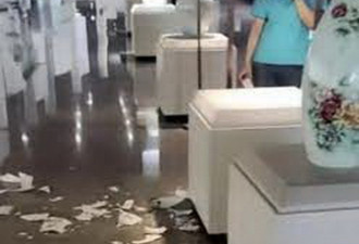 小孩打碎近12万元瓷瓶艺术馆免赔，网友吵翻