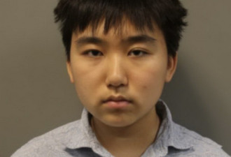 美国18岁华裔计划袭击小学 被警方逮捕