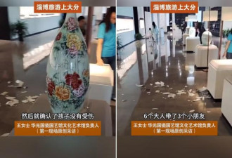 山东女童打碎价值11万RMB花瓶 馆方2原因喊免赔