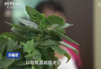 贵州夫妻家中上演“三人行” 至儿子杀父