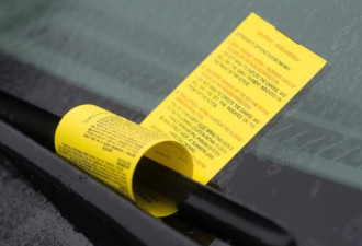 汉密尔顿一辆车一年收到103张停车罚单