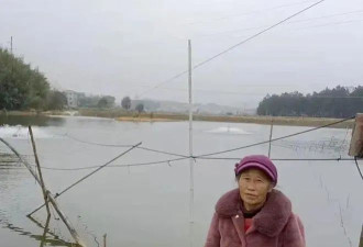 湖南农妇挖塘养鱼被控&quot;土地犯罪&quot;，涉案土地早...