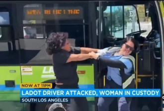 LA巴士女司机被游民拖街暴打 只因要对方买票