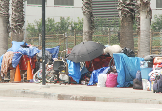 花费$6000万 长滩2024年无家可归者仅减少71人
