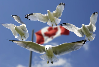 加拿大推出外国代理人  注册法案