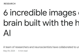 十年磨一图 谷歌震撼发布纳米级人脑图谱