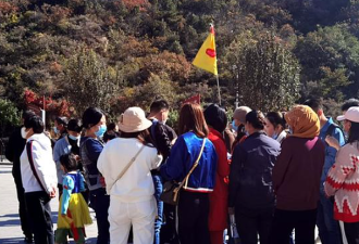 500元国外游！中年人的“精神天堂”