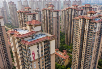 中国酝酿大招：政府购下未售房屋 股价闻声上涨