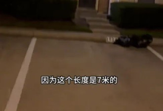 中国博主在美遭华裔大姐飙英文歧视？大反转来了