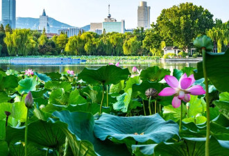 中国唯一泡在泉水里的城市安逸享乐 超适合养老