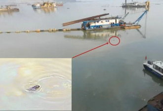 中央督察组发现江豚被困油污 地方官员否认