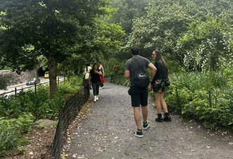 凤姐在纽约中央公园出没,低头玩手机、身材臃肿