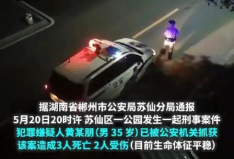 郴州公园惊魂夜：犯罪嫌疑人落网，揭开3死2伤...